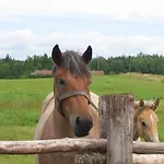 Wiejska