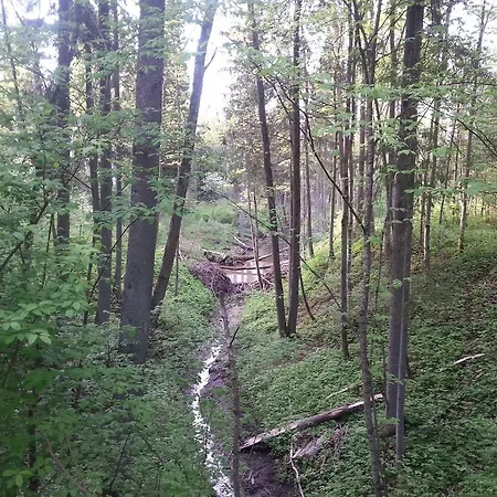 Appartamento Wiejska Szwalk