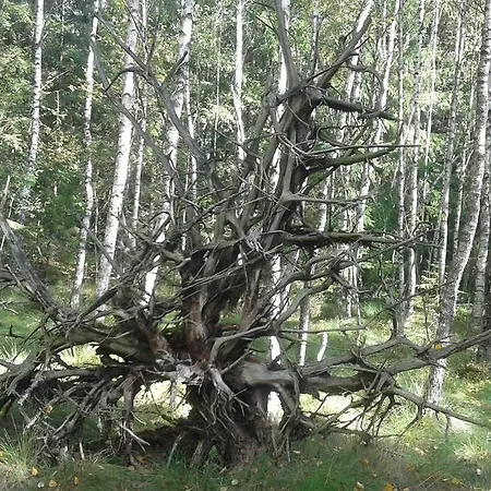 Apartamento Wiejska *