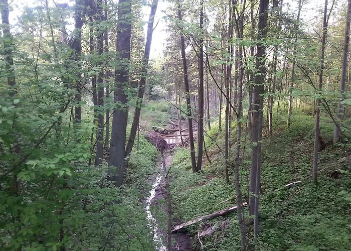 Appartamento Wiejska Szwalk